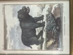 Product - Image 2